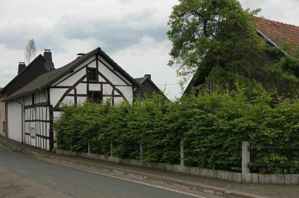 Authentiek Eifelhuis Hecken Oda fotoğraf